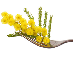 festa della donna