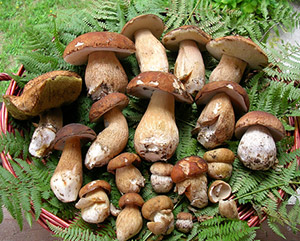 pranzo piemontese